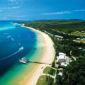Explore the Magnificent Wonders of Moreton Bay with Aria Cruises