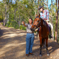 Are There Any Horse Riding Trails Available In Moreton Bay Queensland