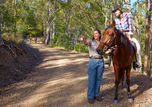 Are There Any Horse Riding Trails Available In Moreton Bay Queensland